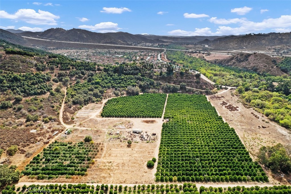 3264 SHEARER CROSSING