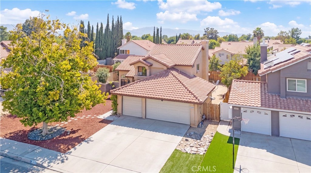 37909 Smoke Tree
