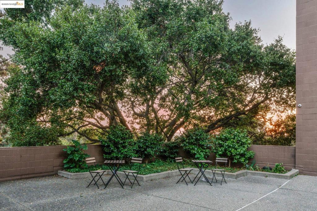 PIEDMONT AVENUE - Residential