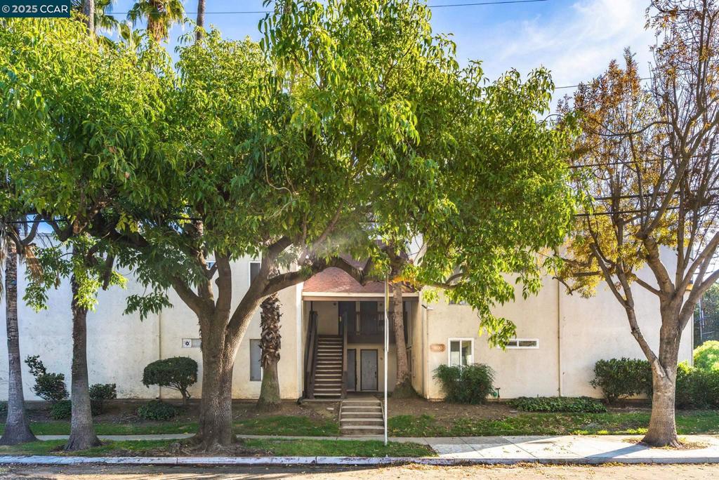 LAGUNA - Residential