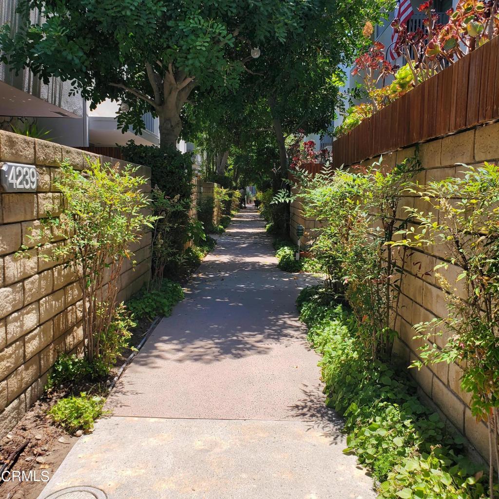 4231 Sarah Street