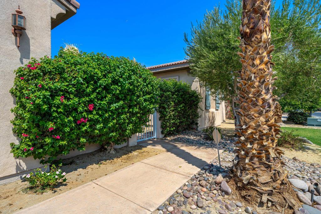 Esplanade - Residential Lease