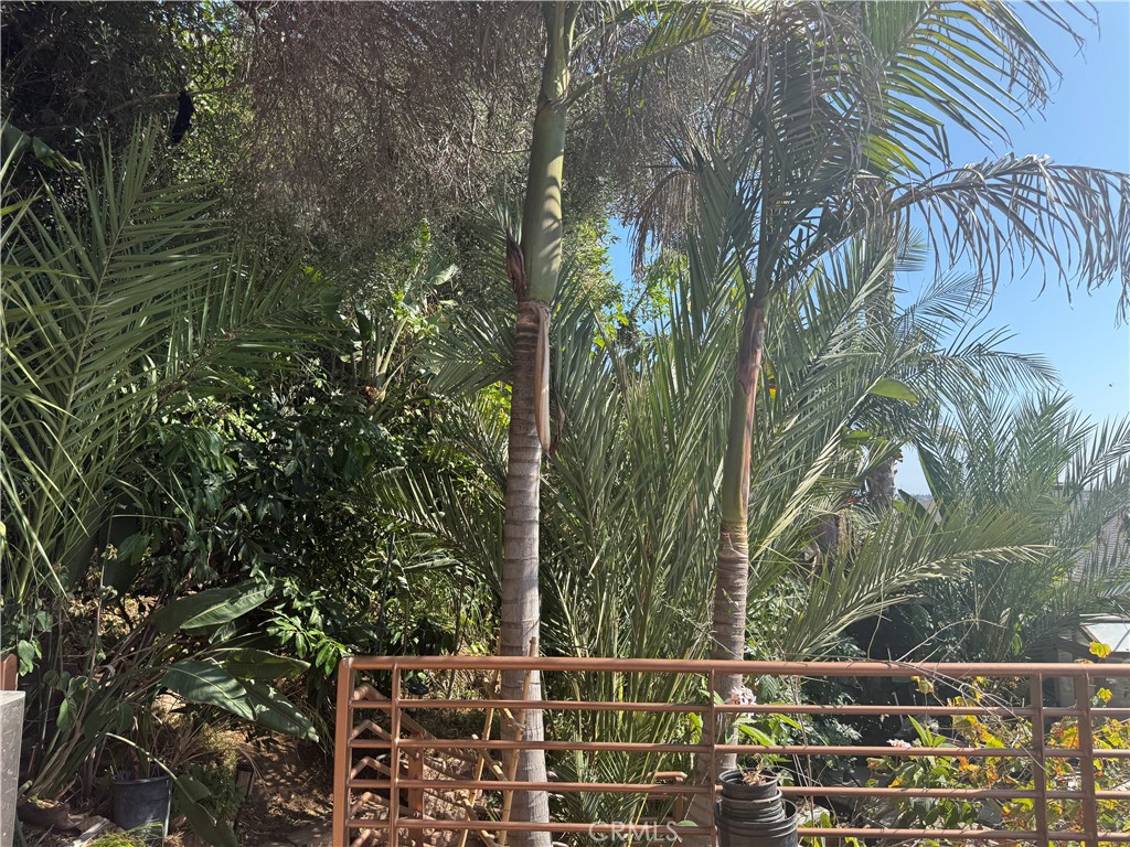 custom homes - Residential