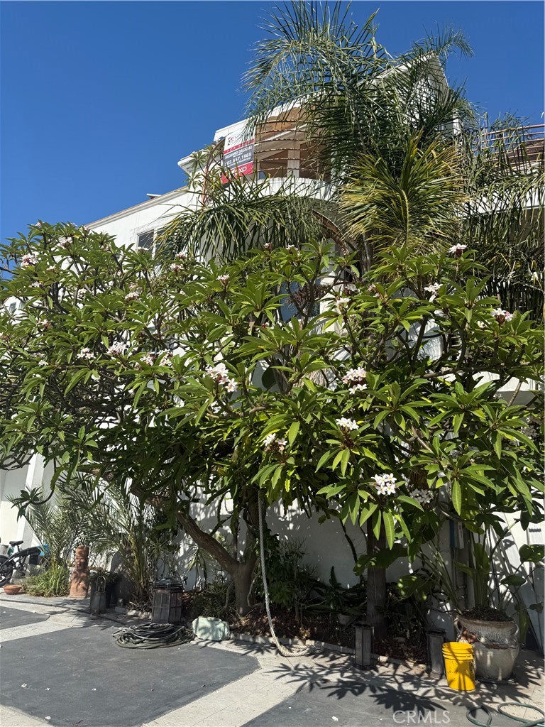 custom homes - Residential
