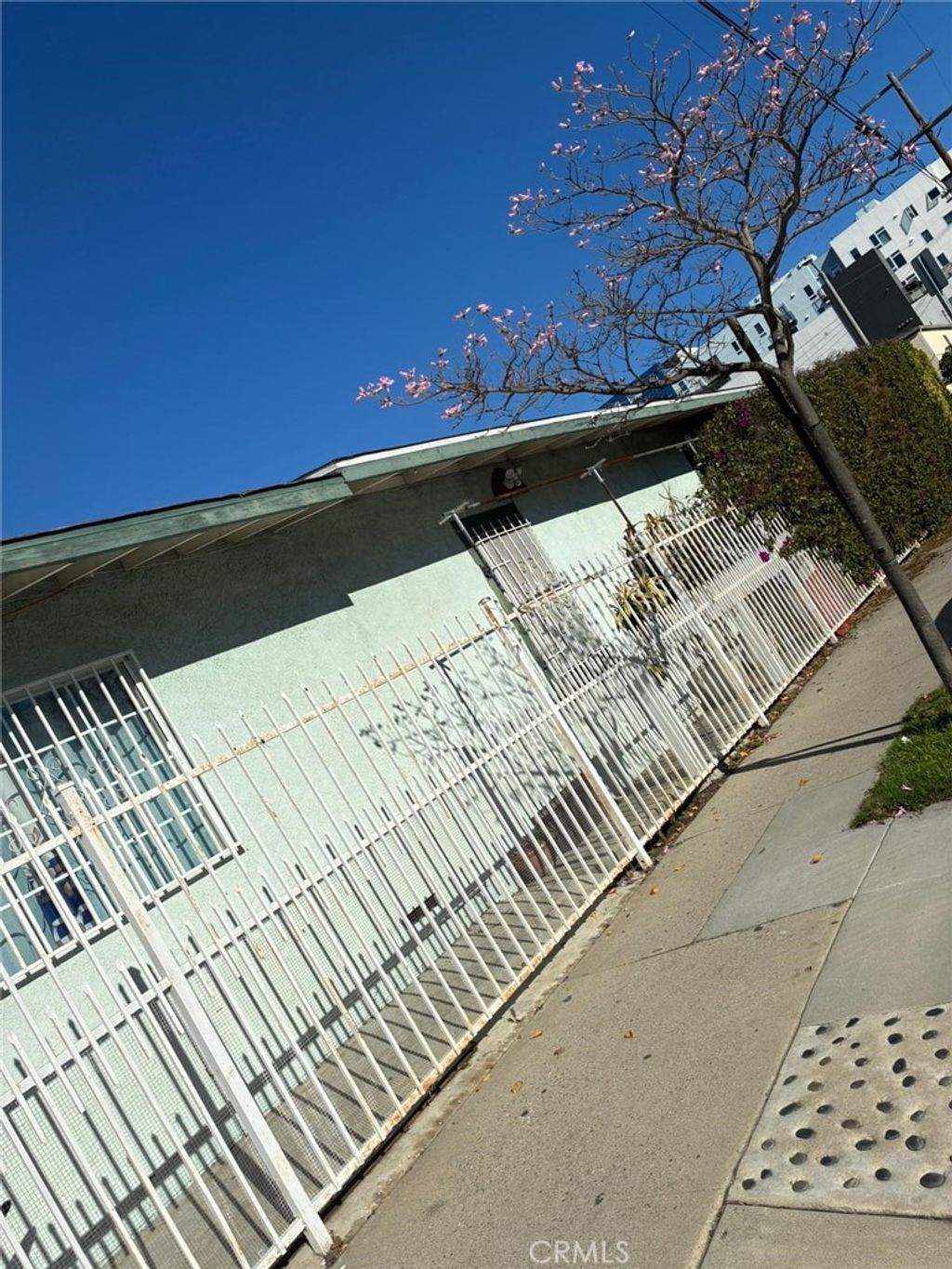 Photo of 3771 S Catalina St, Los Angeles, CA 90007 (MLS # DW26007984)