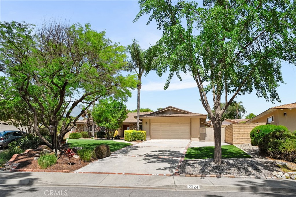 2324 Dana Court