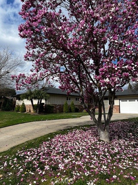 Photo of 172 W Scott Ave, Fresno, CA 93704 (MLS # FR26043652)