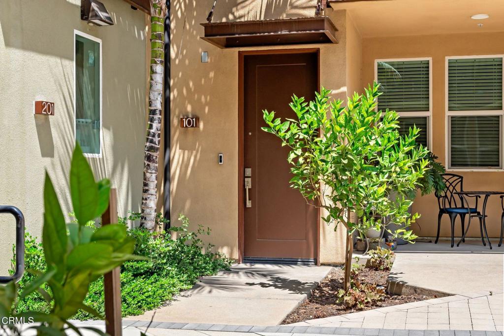 1244 E Thompson Boulevard 101