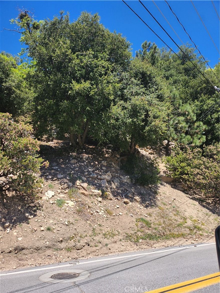 * LAKE ACCESS * This property has one of Lake Arrowheads BEST views in my opinion. Imagine building your dream home here and having a view that CANNOT be blocked. Everyday you are here will feel like a vacation.