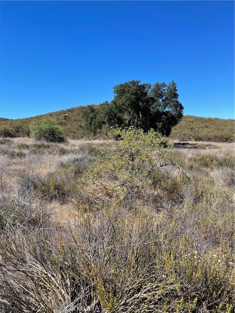 Gentle rolling 7.50 acre that is perfect for custom/manufactured home. Close to Lake Skinner, Diamond Valley Lake, Vail Lake, Pechanga Casino, Temecula Valley Wineries & Vineyards. Coleman Road & Stier street need some work.