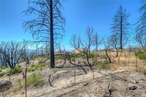 Photo of 315 Harrison Springs Rd, Berry Creek, CA 95916 (MLS # OR26059294)