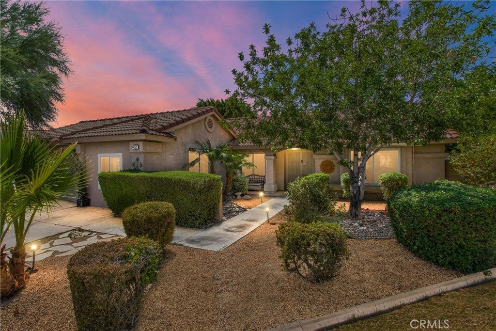 44525 Saffron Court