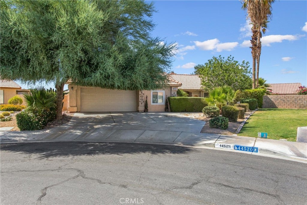 44525 Saffron Court