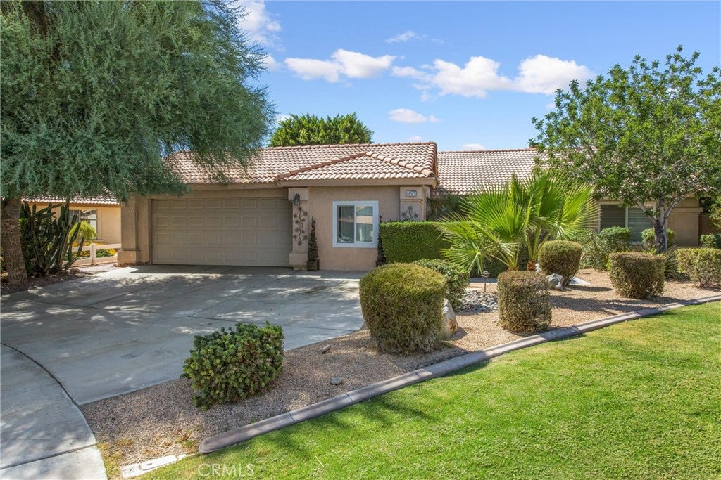 44525 Saffron Court