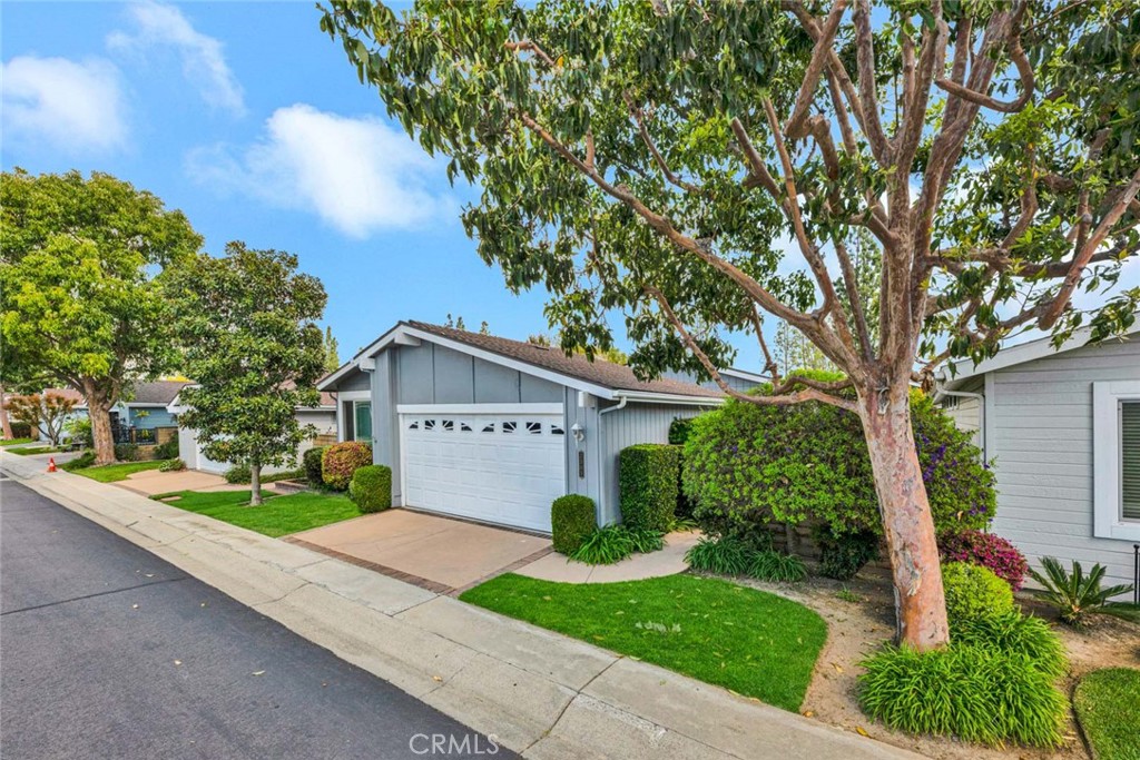 2505 Forest Lake