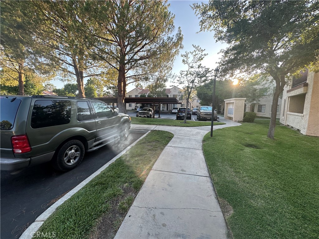 2554 Olive Drive 12