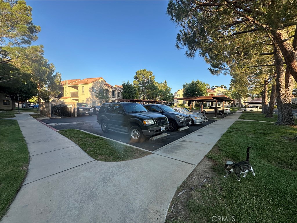 2554 Olive Drive 12