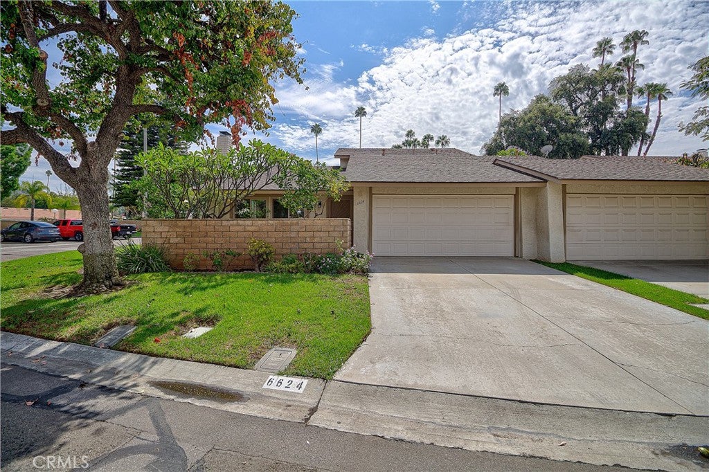 6624 Banyan