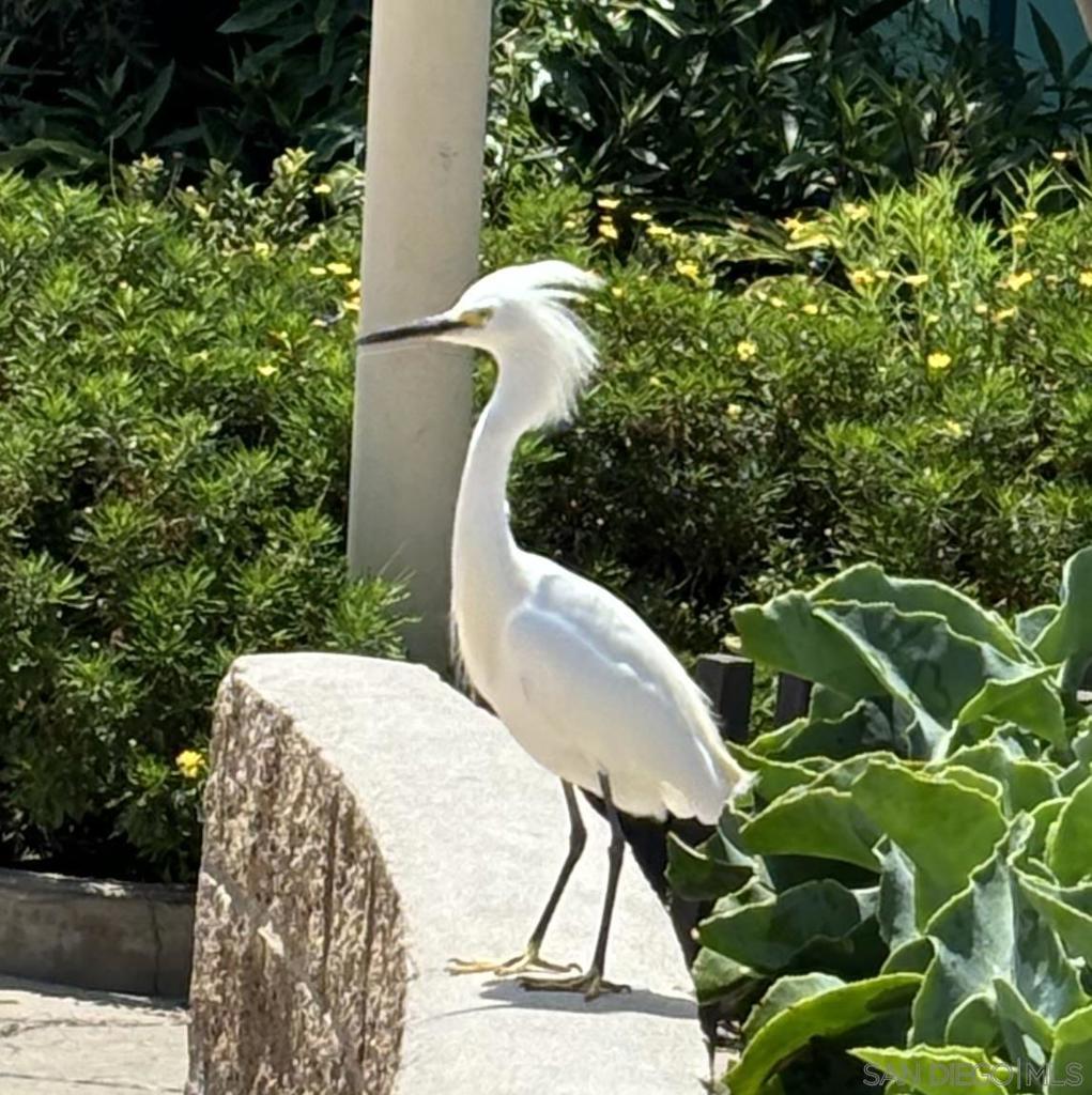 Carlsbad West - Manufactured In Park