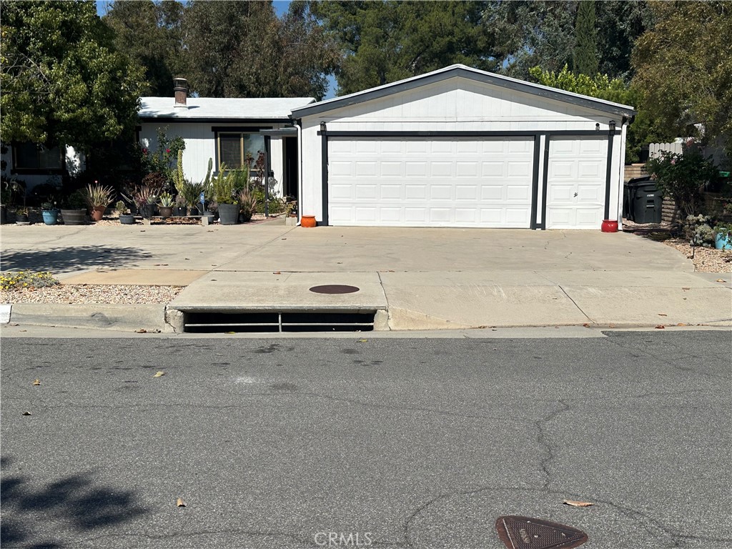 1468 Willow Leaf