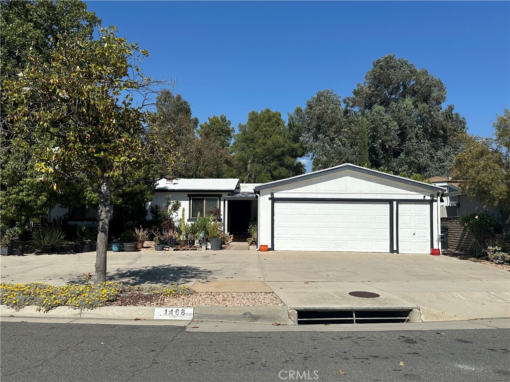 1468 Willow Leaf