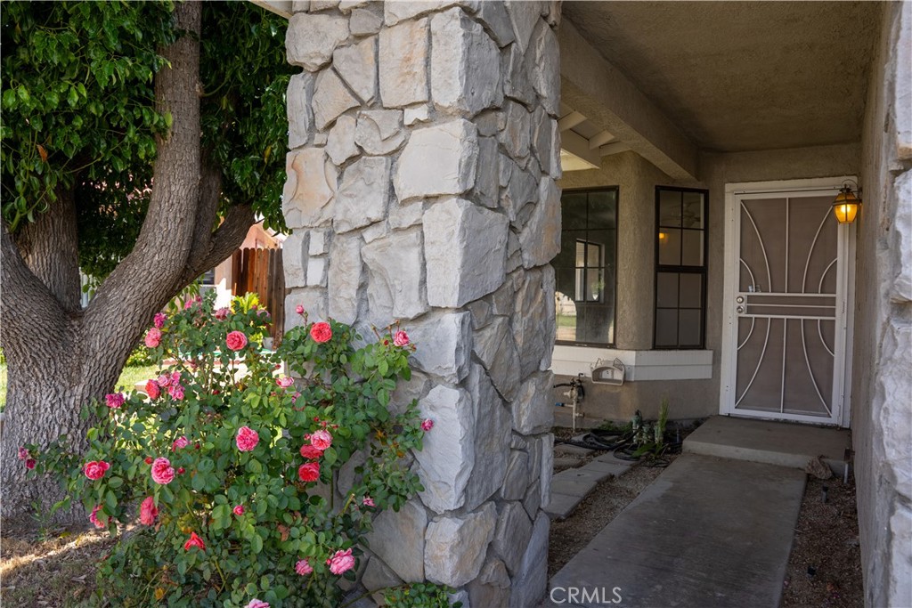 954 Basalt Court