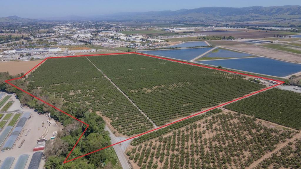 275 Bolsa Road
