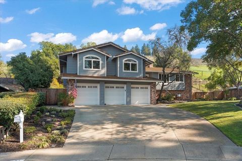 61 61 Willowview Ct Danville CA 94526