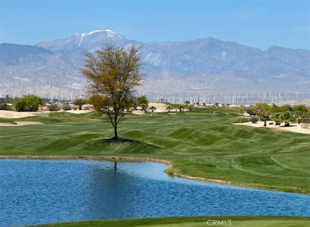 Desert Princess (SFR) (33539) - Residential Income