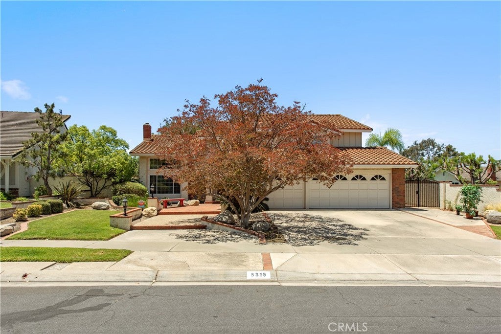 5315 Vista Montana