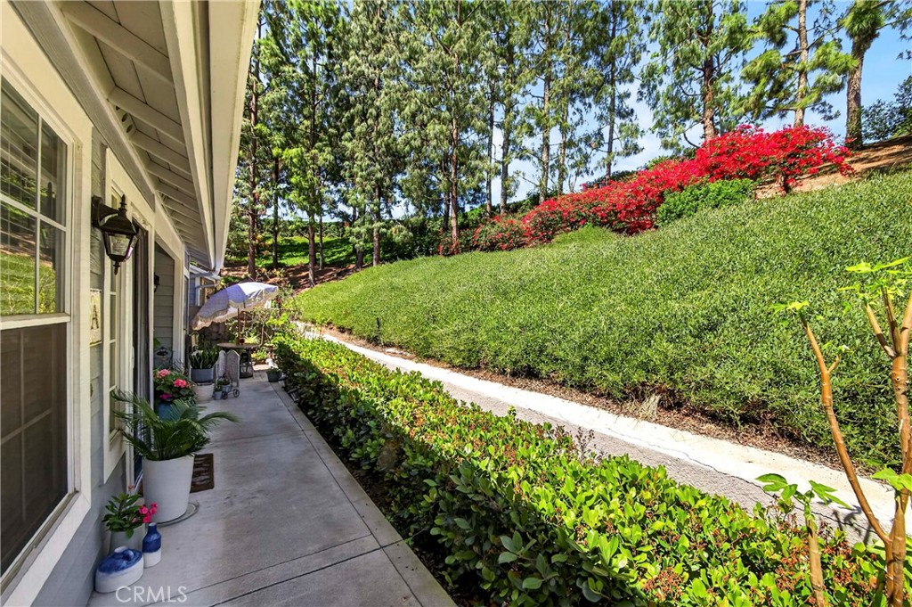 23412 Pacific Park Drive 6A