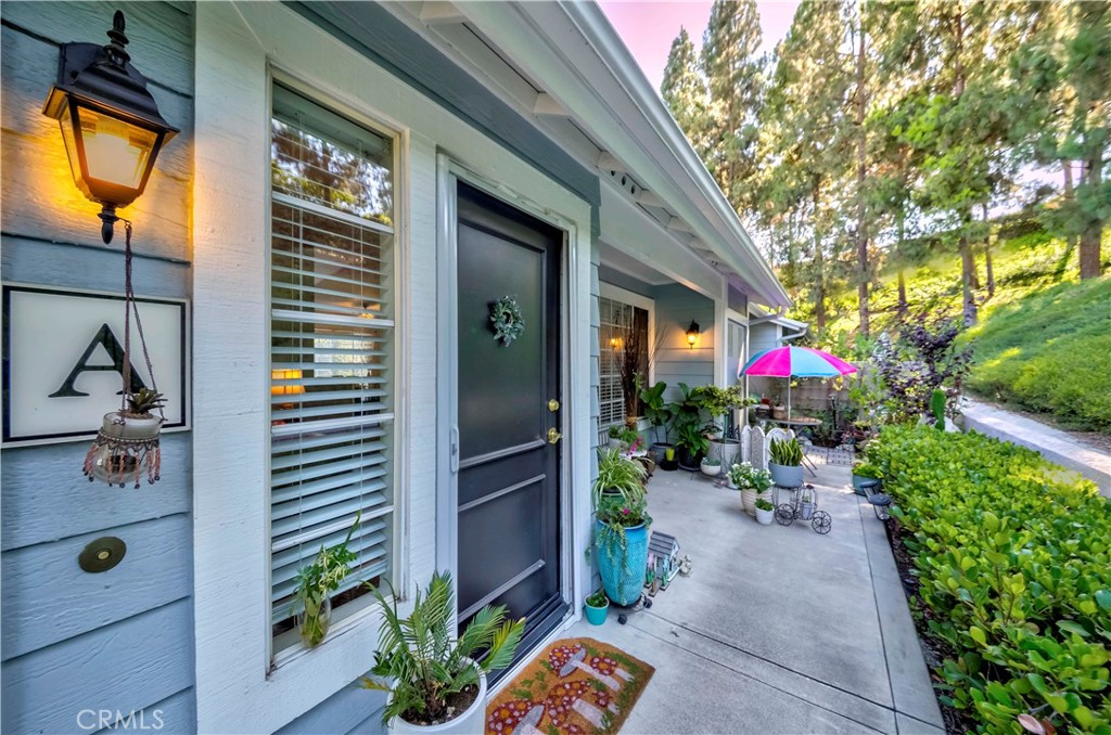 23412 Pacific Park Drive 6A