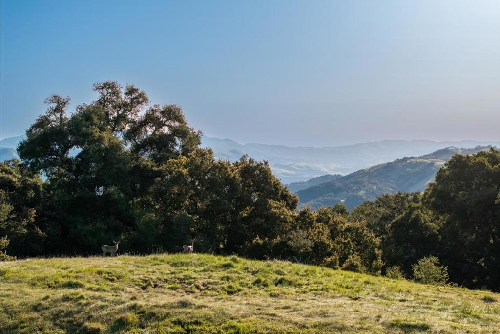 52 Chamisal Pass (Lot 136)