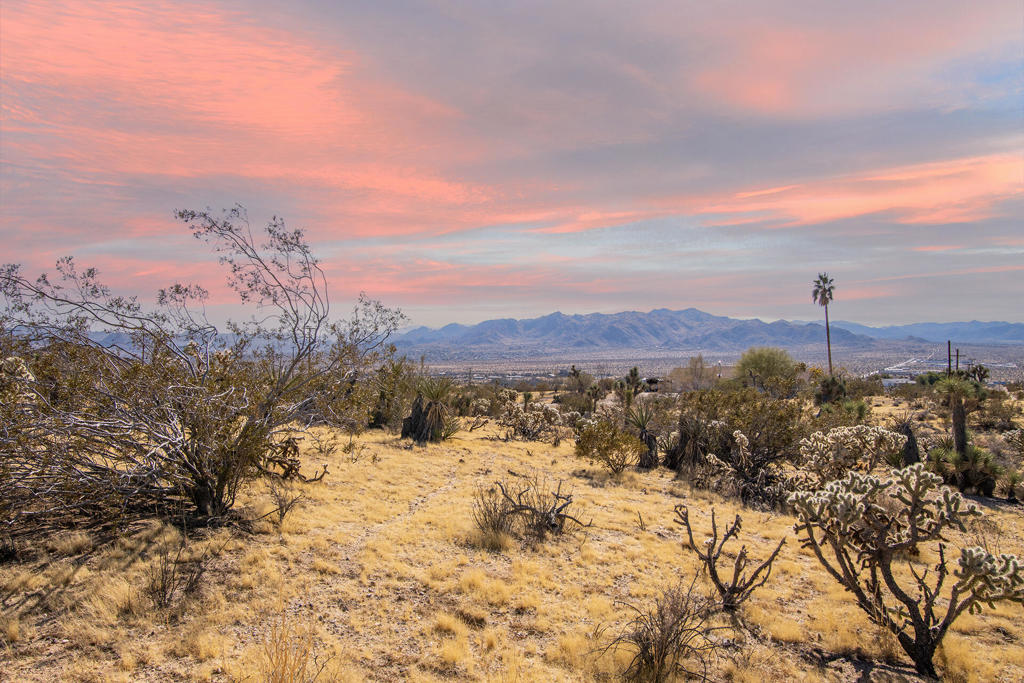 Panoramic 5 acres perched on a gentle slope overlooking Yucca Valley. Water, power, and pavement on a corner lot. Truly spectacular vistas of the Little San Bernardino mountain range which is set in Joshua Tree National Park. Ideal for a designer compound. Horse Property. Shimmering city lights. Beautiful natural fauna. Private setting. Just a short trip down the hill for all amenities. High priced homes nearby. Yucca Valley has seen a boom in growth in the past few years. Many have recently discovered the beauty, charm and peaceful living that the area has to offer. More celebrities, musicians, and artists are now calling the YV home than ever before. Designers and cutting edge architects have been enhancing the greater area creating a renaissance not seen since the 1960s. High elevation offers cooler summers than the Coachella Valley. Only 34 miles to Palm Springs makes it a reasonable commute. Less than 12 miles to the Joshua Tree National Monument which saw over 3 million tourists visit the park in 2022. 140 miles to Los Angeles. Rare 5 acre view lot priced to sell! For all questions on building and uses buyers must contact the city planners. For all questions on utilities contact the appropriate utility agencies. APN: 0588-031-45. Located at the N/W corner of Douglas and Yucca Valley. Address is real.