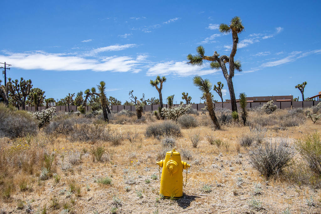 5020 Old Woman Springs Road