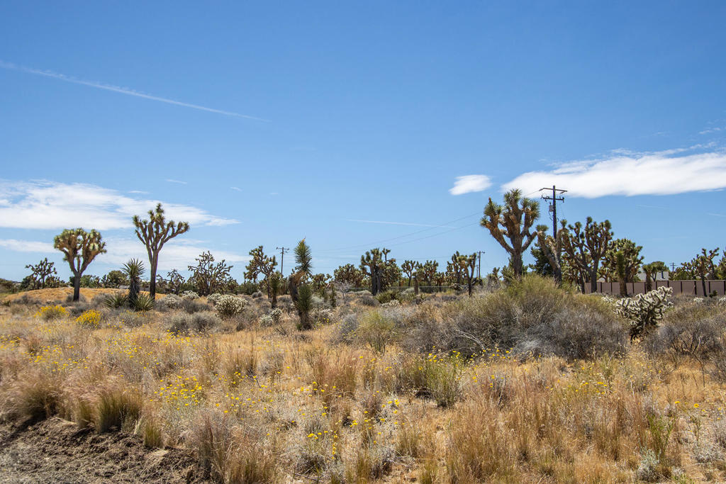 5020 Old Woman Springs Road