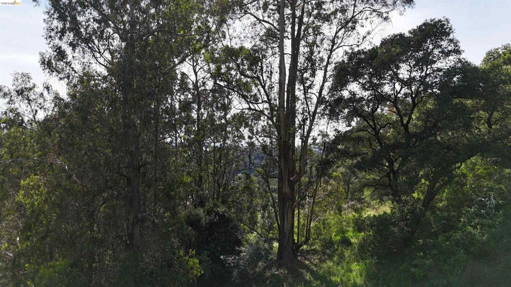 2551 Tunnel Rd