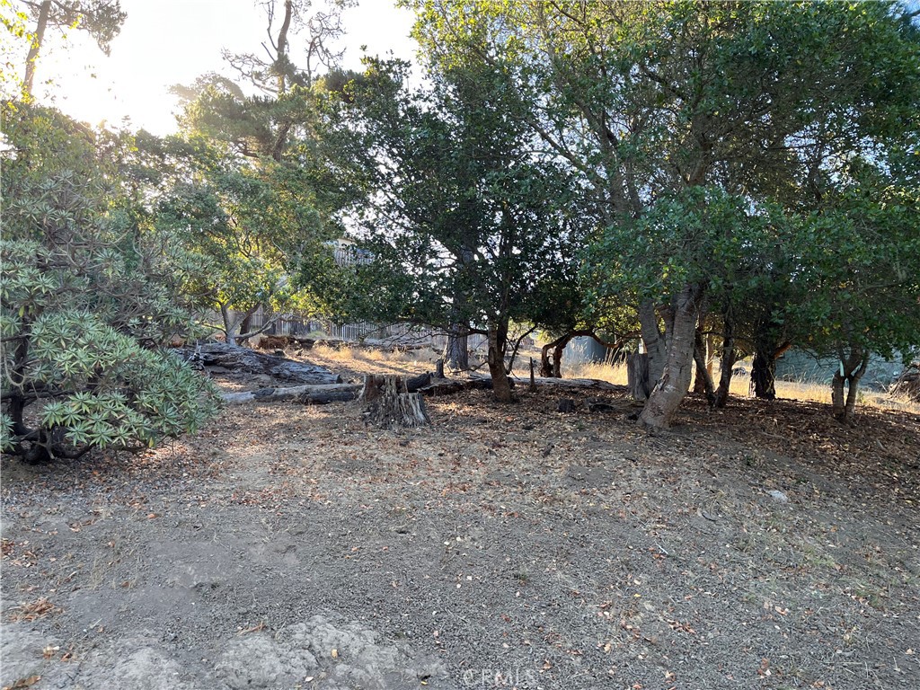 Lodge Hill(430) - Land
