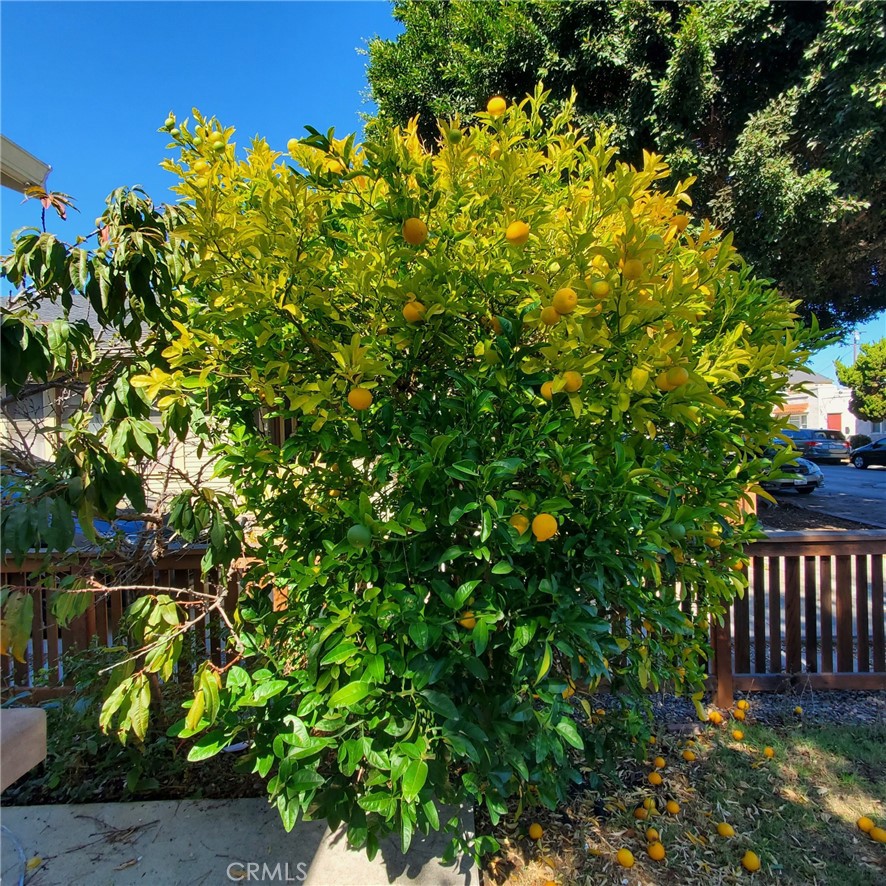 Junipero Gardens (JPG) - Residential