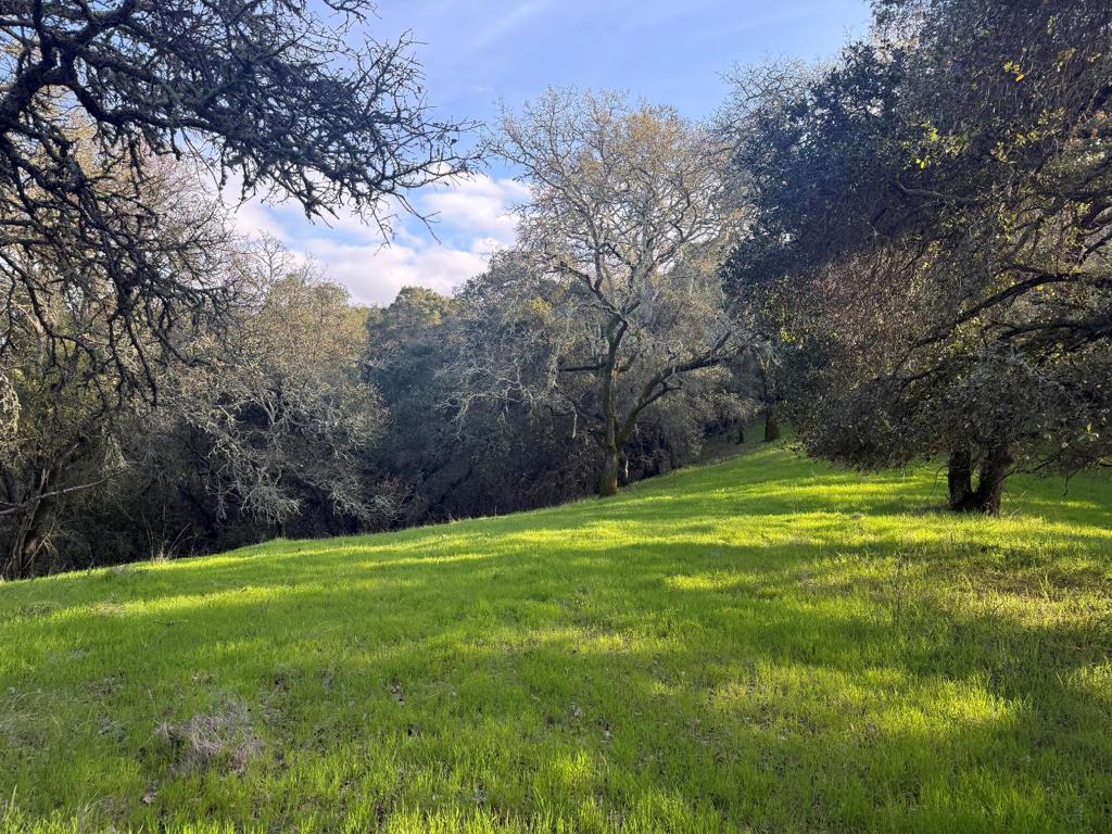 0 Chesbro Lake Drive