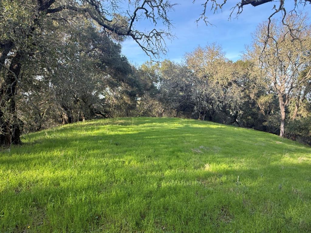 0 Chesbro Lake Drive