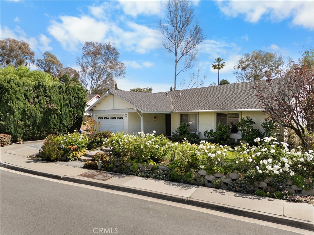 26442 Papagayo Drive