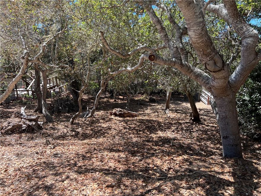 Vacant lot in the heart of Cambria, offering a peaceful forest setting just minutes from the village, Moonstone Beach, and scenic coastal trails. Enjoy cool ocean breezes, abundant wildlife, and small town charm. This lot also includes CCSD water waitlist position #566.