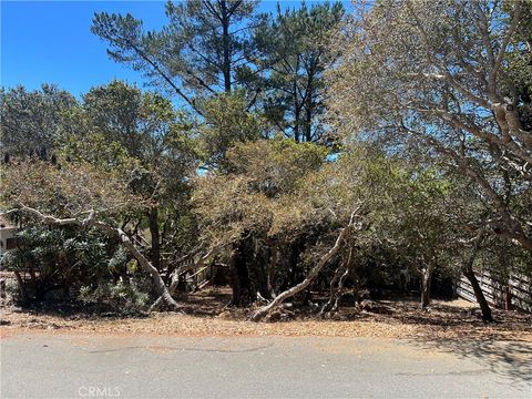 Tiny photo for 1845 Norwich Avenue, Cambria, CA 93428 (MLS # SC25186524)
