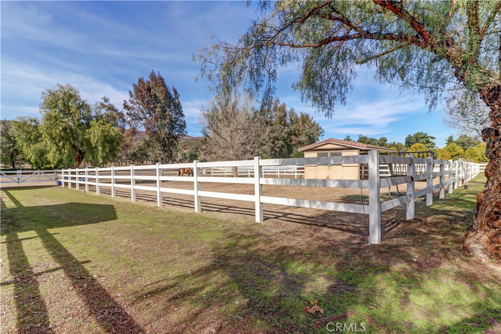 38510 Calle De Lobo