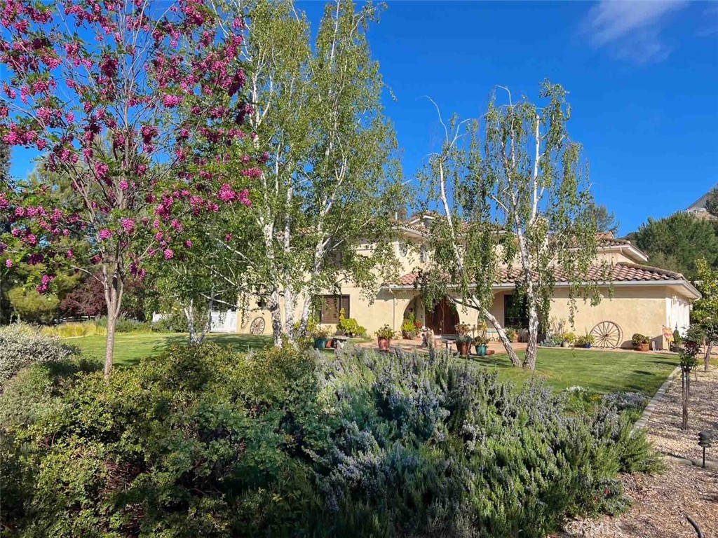 38510 Calle De Lobo