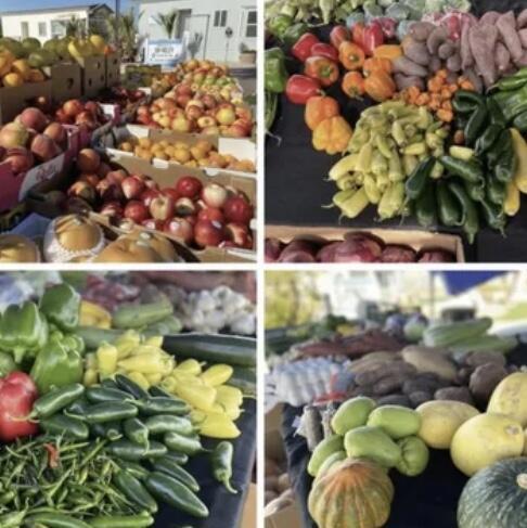 Not Applicable-1 - Manufactured In Park