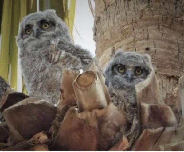 Not Applicable-1 - Manufactured In Park