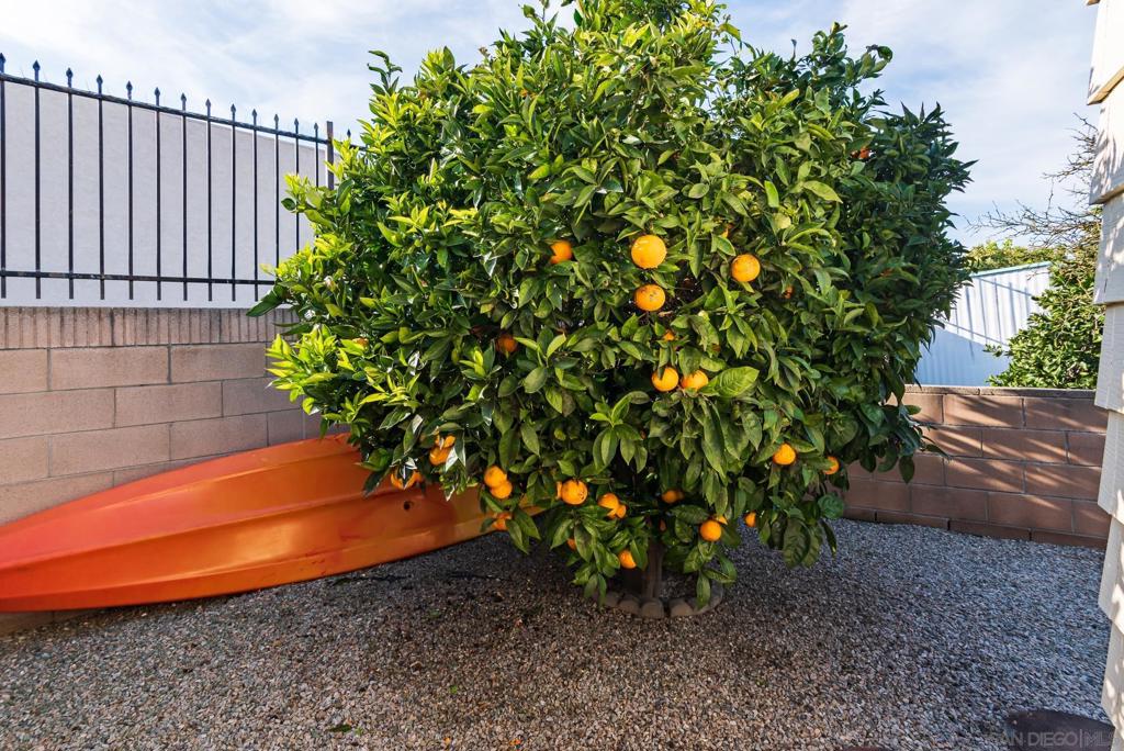 Oceanside - Manufactured In Park