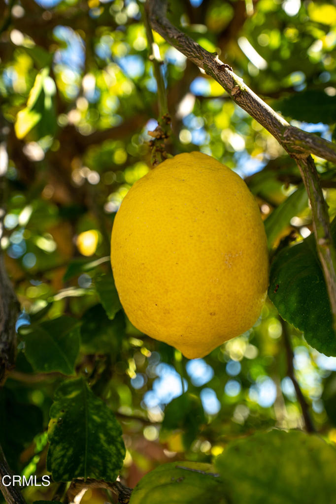 Las Posas Gardens - 2666 - Residential